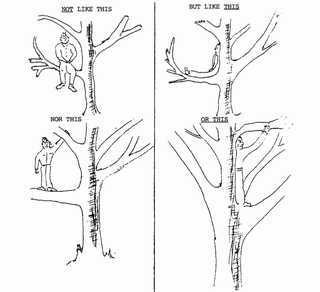 Illustration for article titled What WWII's Top Secret Spy Manual Can Teach You About Wilderness Survival